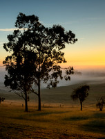 Hunter Valley Sunrise