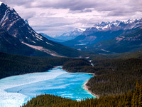 Cnadian Rockies -  Peyto Lake