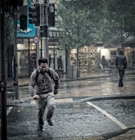 Wellington - Rainstorm