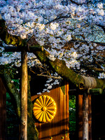 Yasukuni Shrine
