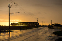 The Road to Barossa