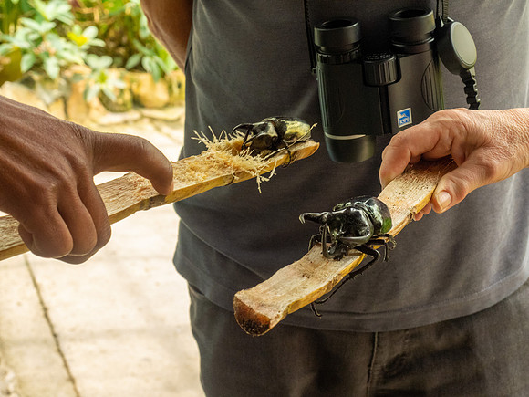 Cameron Highlands - Butterfly Centre