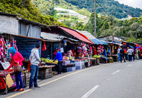 Cameron Highlands