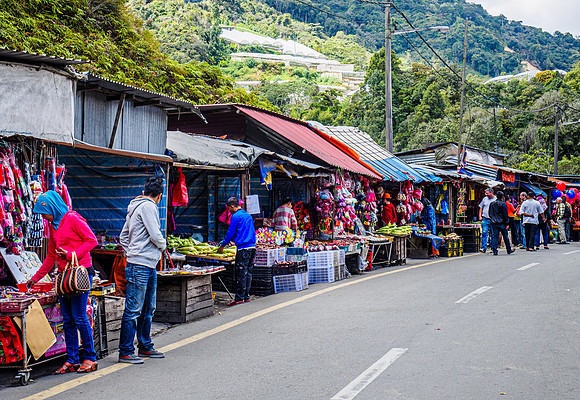 Cameron Highlands
