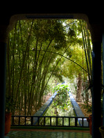 Marrakech - Jardin Majorelle