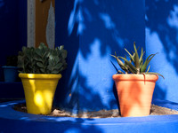 Marrakech - Jardin Majorelle