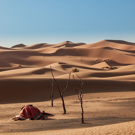 Desert