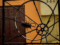 Camaguey