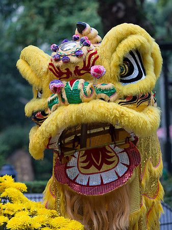 Hong Kong -  Lion Dancer