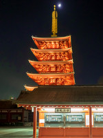 Shiro-ji Temple at Night