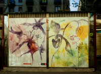 Catalunya Doors and Grafitti