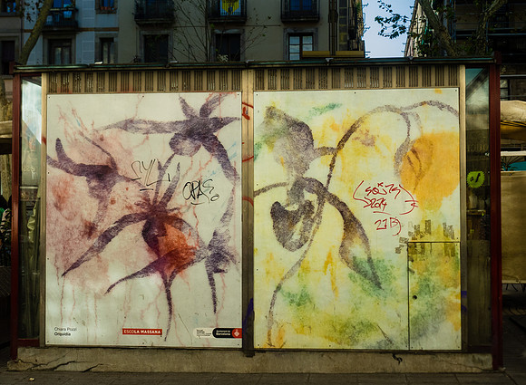 Catalunya Doors and Grafitti