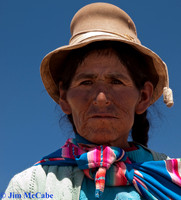 Vicunya Herder