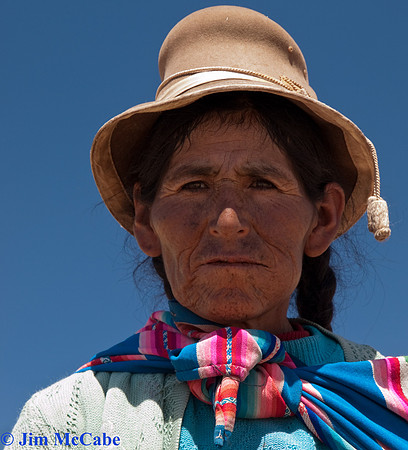 Vicunya Herder