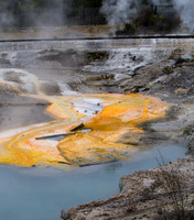 WHakarewarewa - Hot Springs