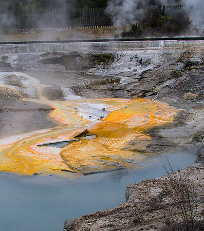 WHakarewarewa - Hot Springs
